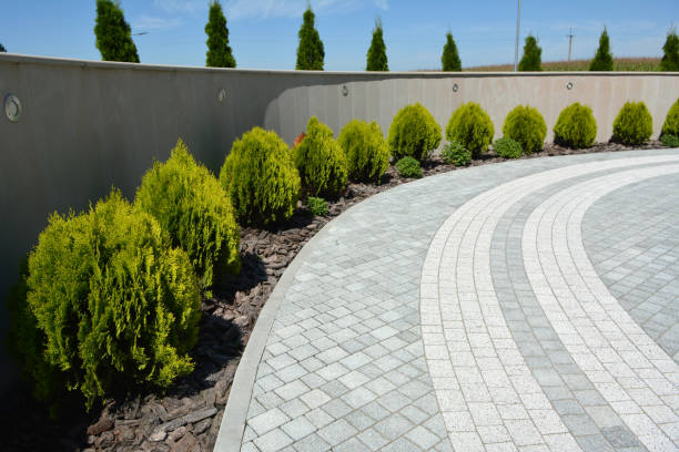 Best Driveway Pavers Near Me  in Bowling Green, KY